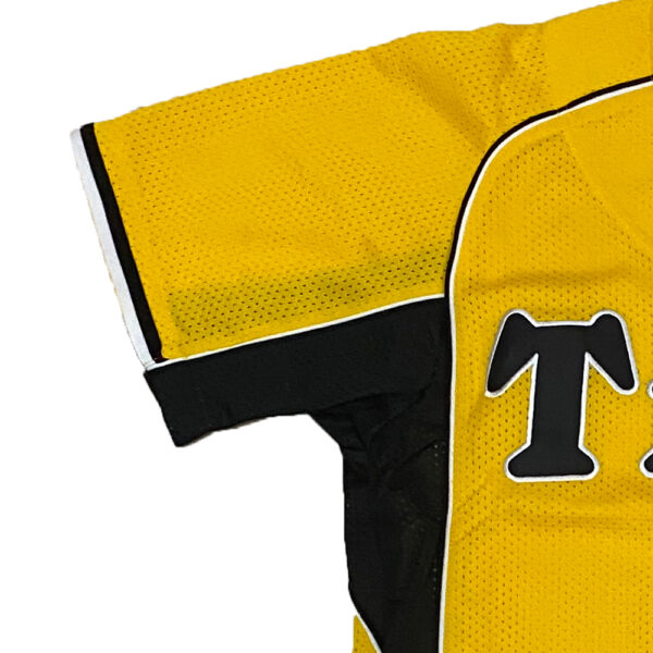 Japan Henshin Tigers uniform yellow embroidery logo mizuno